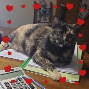 Meet your Posher, Jackie